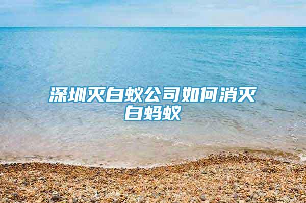 深圳滅白蟻公司如何消滅白螞蟻