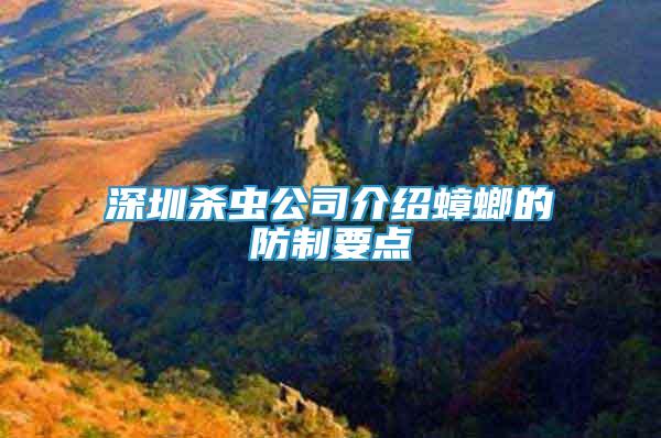 深圳殺蟲公司介紹蟑螂的防制要點(diǎn)