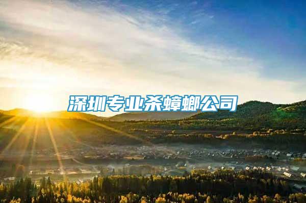 深圳專業(yè)殺蟑螂公司