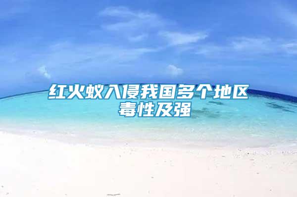 紅火蟻入侵我國多個地區(qū) 毒性及強