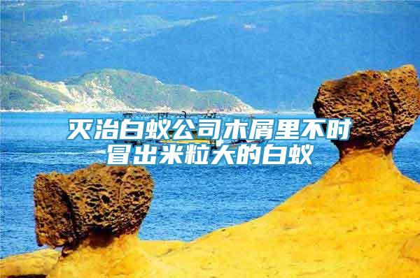 滅治白蟻公司木屑里不時(shí)冒出米粒大的白蟻