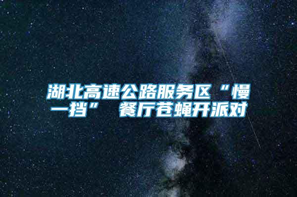 湖北高速公路服務(wù)區(qū)“慢一擋” 餐廳蒼蠅開派對(duì)