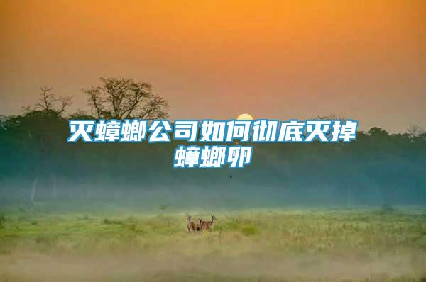 滅蟑螂公司如何徹底滅掉蟑螂卵