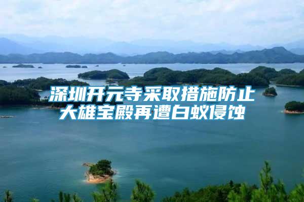 深圳開元寺采取措施防止大雄寶殿再遭白蟻侵蝕