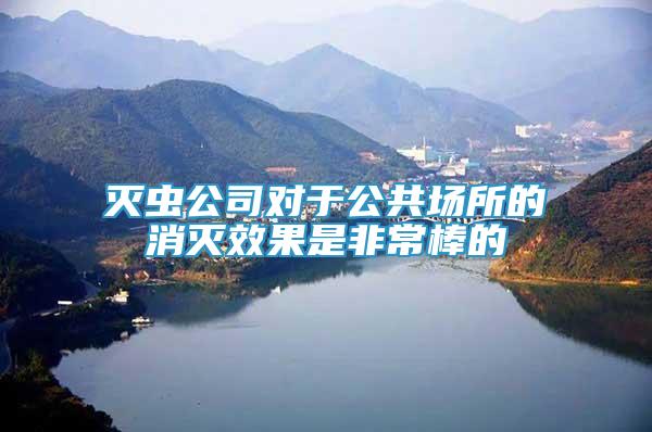 滅蟲公司對于公共場所的消滅效果是非常棒的