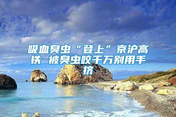 吸血臭蟲“登上”京滬高鐵 被臭蟲咬千萬別用手擠