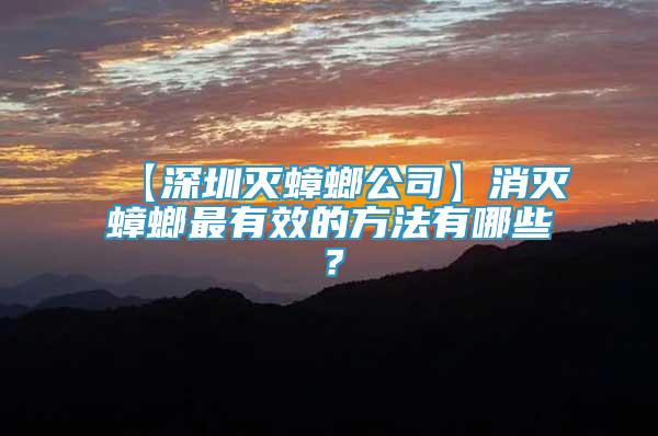 【深圳滅蟑螂公司】消滅蟑螂最有效的方法有哪些？