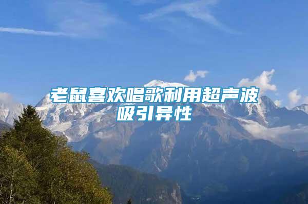 老鼠喜歡唱歌利用超聲波吸引異性