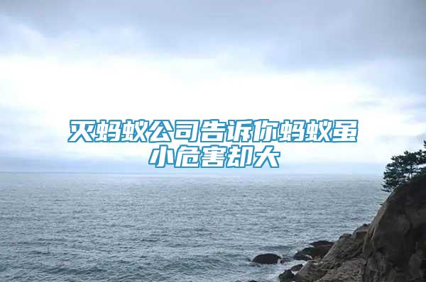 滅螞蟻公司告訴你螞蟻雖小危害卻大