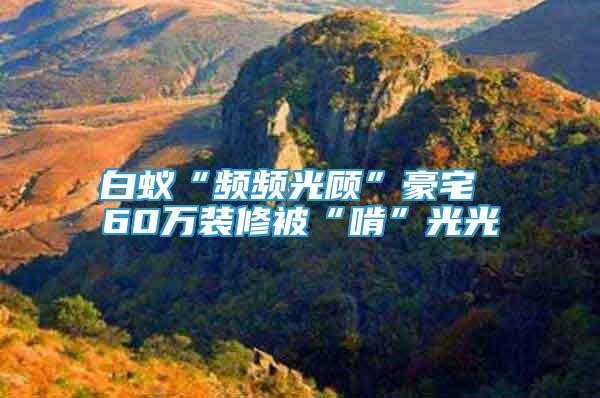 白蟻“頻頻光顧”豪宅 60萬裝修被“啃”光光