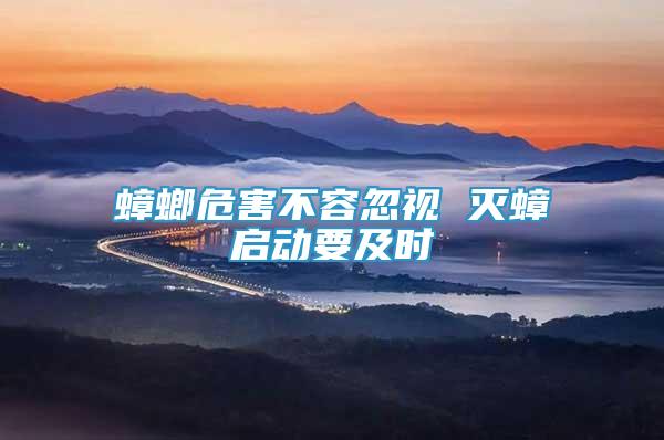 蟑螂危害不容忽視 滅蟑啟動要及時
