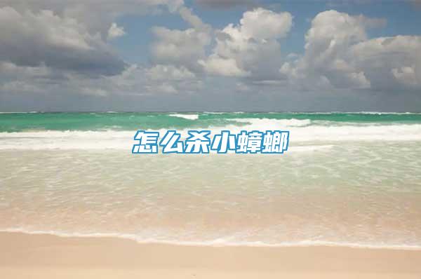 怎么殺小蟑螂