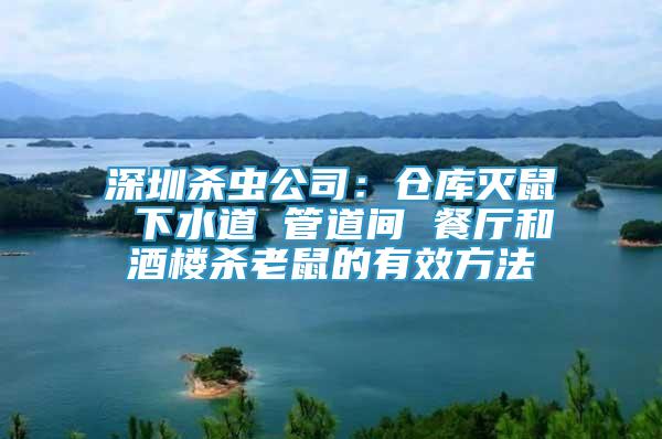 深圳殺蟲公司：倉庫滅鼠 下水道 管道間 餐廳和酒樓殺老鼠的有效方法