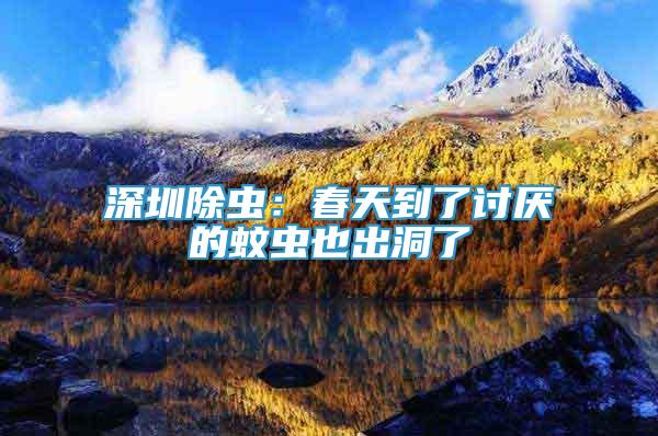 深圳除蟲：春天到了討厭的蚊蟲也出洞了