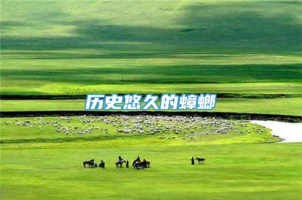 歷史悠久的蟑螂
