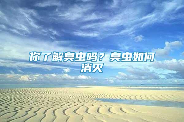 你了解臭蟲嗎？臭蟲如何消滅