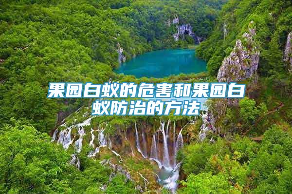 果園白蟻的危害和果園白蟻防治的方法