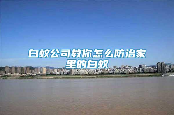 白蟻公司教你怎么防治家里的白蟻