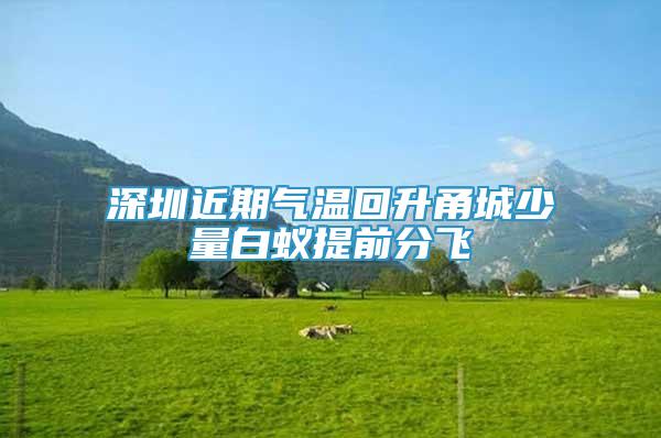 深圳近期氣溫回升甬城少量白蟻提前分飛