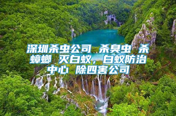 深圳殺蟲公司 殺臭蟲 殺蟑螂 滅白蟻，白蟻防治中心 除四害公司