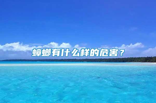 蟑螂有什么樣的危害？