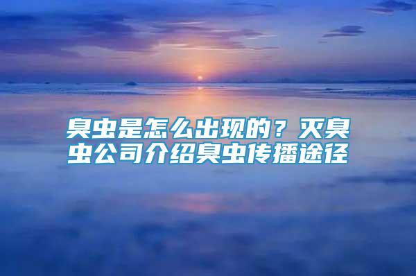 臭蟲(chóng)是怎么出現(xiàn)的？滅臭蟲(chóng)公司介紹臭蟲(chóng)傳播途徑