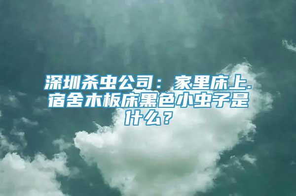 深圳殺蟲公司：家里床上.宿舍木板床黑色小蟲子是什么？