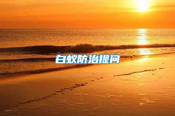 白蟻防治提問(wèn)