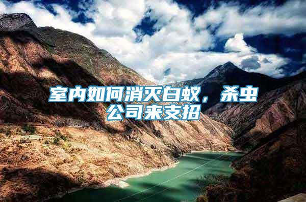 室內(nèi)如何消滅白蟻，殺蟲(chóng)公司來(lái)支招