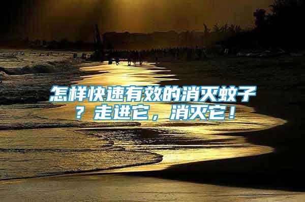 怎樣快速有效的消滅蚊子？走進它，消滅它！