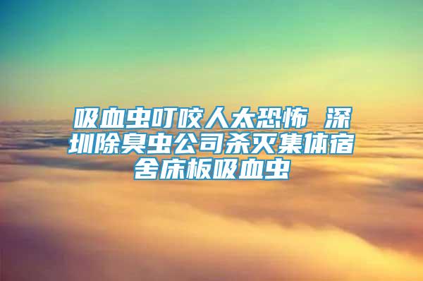 吸血蟲叮咬人太恐怖 深圳除臭蟲公司殺滅集體宿舍床板吸血蟲