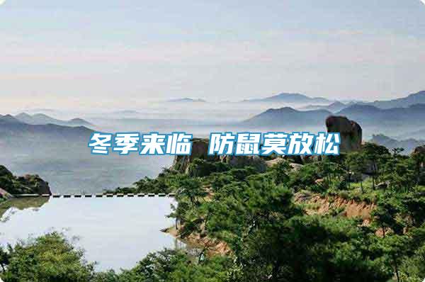冬季來(lái)臨 防鼠莫放松