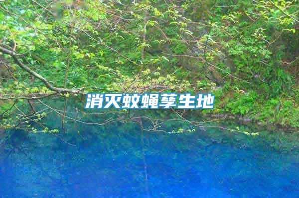 消滅蚊蠅孳生地