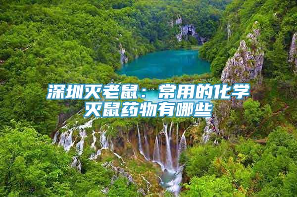 深圳滅老鼠：常用的化學(xué)滅鼠藥物有哪些