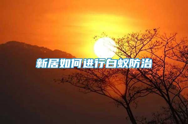 新居如何進行白蟻防治