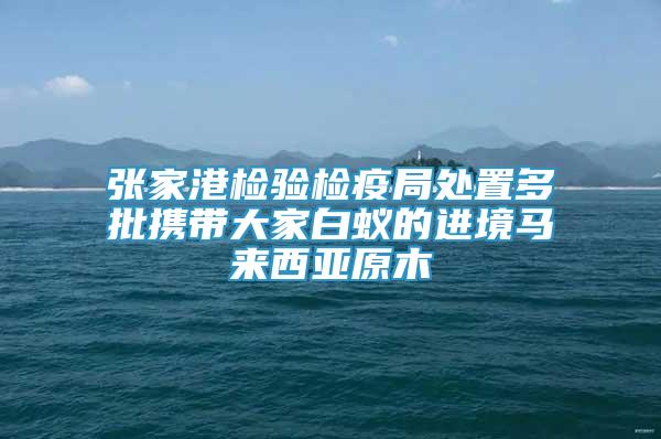 張家港檢驗檢疫局處置多批攜帶大家白蟻的進境馬來西亞原木