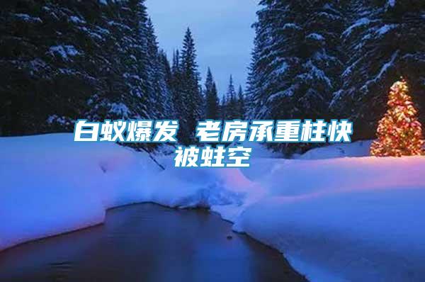 白蟻爆發(fā) 老房承重柱快被蛀空