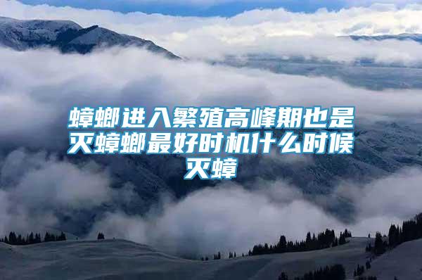 蟑螂進(jìn)入繁殖高峰期也是滅蟑螂最好時(shí)機(jī)什么時(shí)候滅蟑