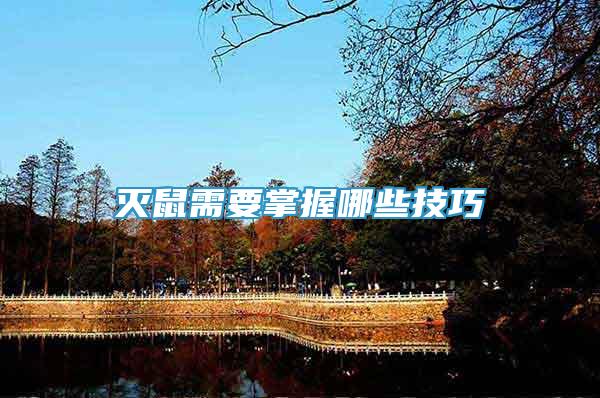 滅鼠需要掌握哪些技巧