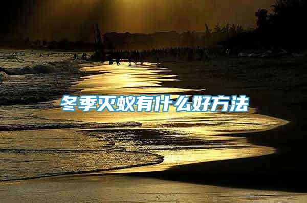 冬季滅蟻有什么好方法
