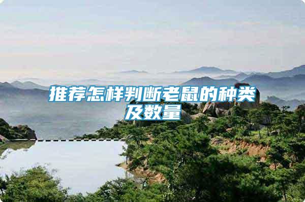 推薦怎樣判斷老鼠的種類及數(shù)量