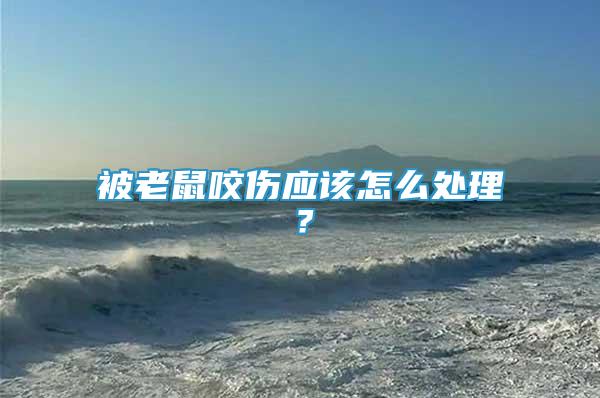 被老鼠咬傷應該怎么處理？