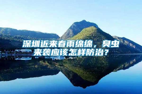 深圳近來春雨綿綿，臭蟲來襲應(yīng)該怎樣防治？