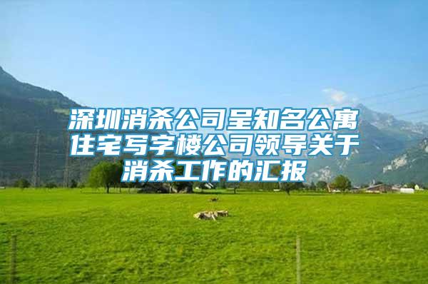 深圳消殺公司呈知名公寓住宅寫字樓公司領(lǐng)導關(guān)于消殺工作的匯報