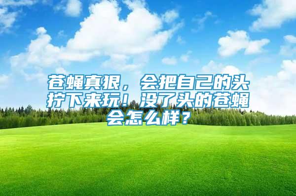 蒼蠅真狠，會把自己的頭擰下來玩！沒了頭的蒼蠅會怎么樣？