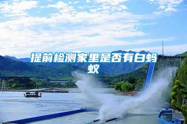 提前檢測家里是否有白螞蟻