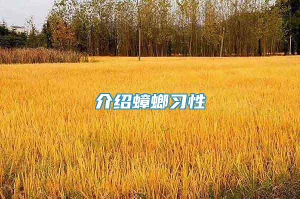 介紹蟑螂習性