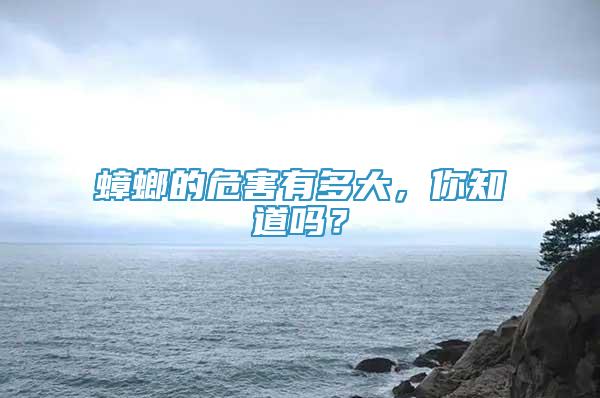 蟑螂的危害有多大，你知道嗎？