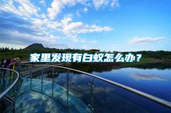 家里發(fā)現(xiàn)有白蟻怎么辦？