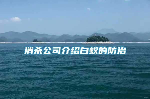 消殺公司介紹白蟻的防治